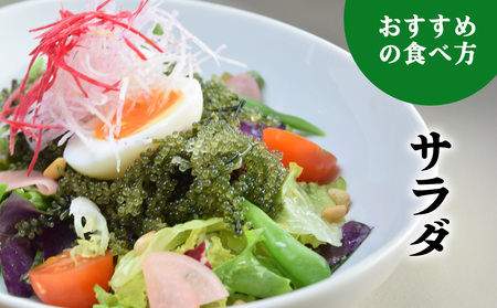 【2026年発送】宜野座村の海ぶどう（100g×5パック） うみぶどう ウミブドウ ぷちぷち プチプチ グリーンキャビア クビレズタ シーグレープ はじける 弾ける 食感 爽やか 磯の香り 海藻 新鮮