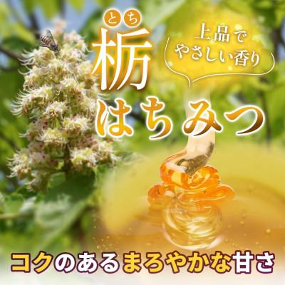 ふるさと納税 盛岡市 藤原黄金蜂蜜 栃 500g 完熟 単花蜜 藤原養蜂場 岩手県盛岡市 |  | 01