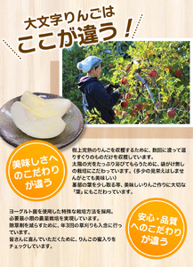 【8月末迄の申込み】 りんご 定期便 大文字りんご園 季節の りんご づくし 定期便 紅いわて サン北斗 大夢 サンふじ ※離島配送不可 / りんご リンゴ りんご リンゴ りんご リンゴ りんご リ