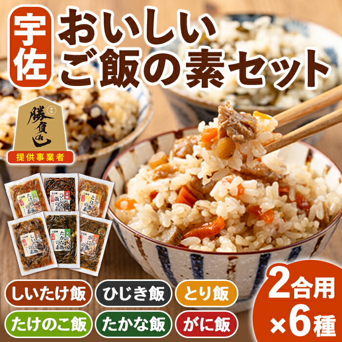 【ふるさと納税】宇佐おいしいご飯の素セット(6種)ご飯の素 混ぜご飯 簡単 時短 おにぎり お弁当 郷土料理 食べ比べ セット【102200101】【観光館　文福】