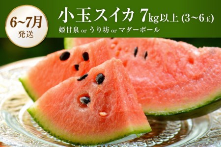 CG083 フルーツ 定期便 全4回