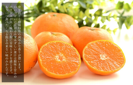 みかん うま採り 箱込約 7.5kg（内容量6.8kg） 光センサー選別 みかんの会厳選 サイズミックス 和歌山県産 産地直送 【みかんの会】［2025年11月中旬より2026年1月中旬頃順次出荷予定