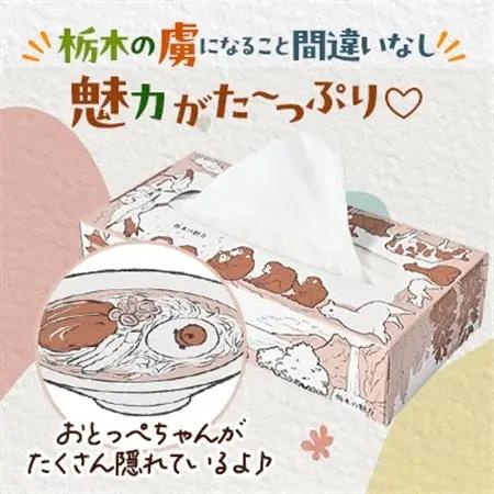 【60箱入り】使い切りパック!栃木の魅力ティッシュボックス 150w×60箱【配送不可地域：離島・沖縄県】【1512983】