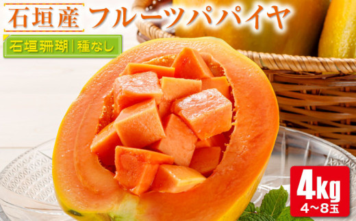 
フルーツパパイヤ４kg 【 パパイヤ フルーツパパイヤ 果物 くだもの フルーツ 果実 国産 沖縄県 沖縄 石垣 石垣島 石垣市 】ZH-14
