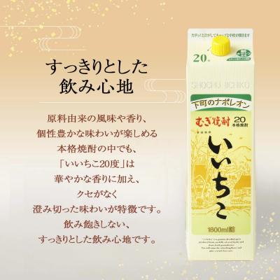 ふるさと納税 宇佐市  いいちこ 20度 パック(1.8L×12本)【107304900】【時枝酒店】 |  | 01