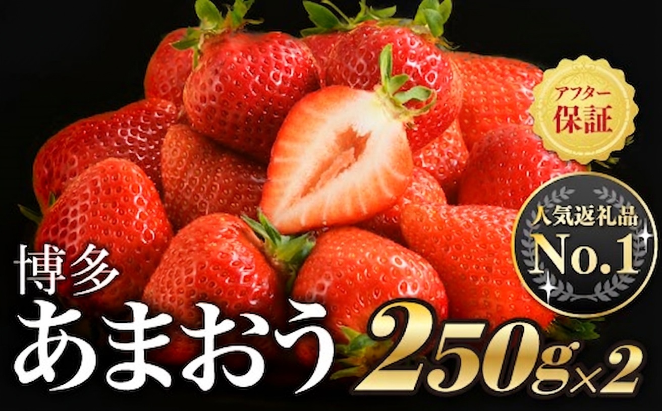 人気１位獲得謝礼品★限定品★博多あまおう約５００g（先行受付／２０２７年２月以降発送）.ZI565【あまおう】