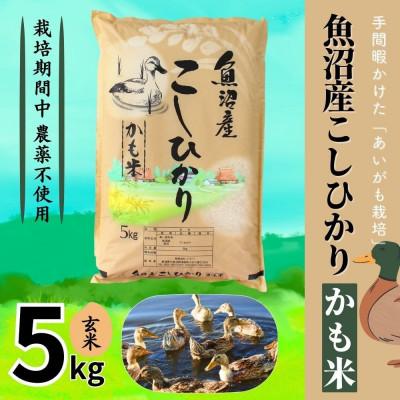 ふるさと納税 十日町市 【令和7年産】魚沼産コシヒカリかも米(玄米)5kg
