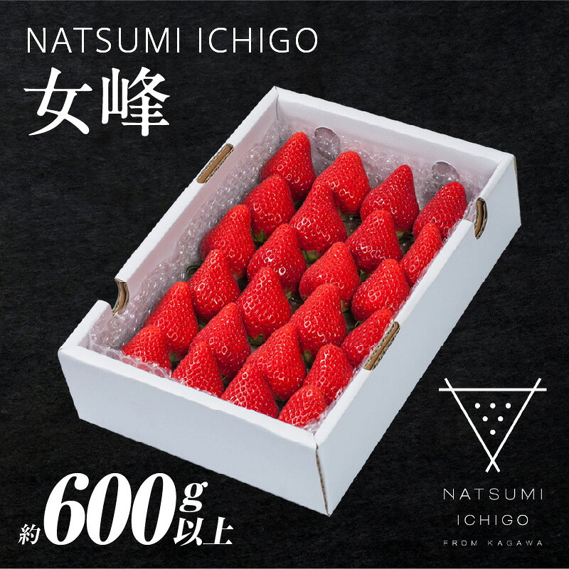 【ふるさと納税】先行予約 NATSUMI ICHIGO 女峰 約600g以上 (2027年1月~6月配送) いちご フルーツ 果物 果実 デザート スイーツ おすすめ 人気 贈答 贈り物 化粧箱 旬 旬の果物 旬のいちご ご褒美 ギフト 青果物 国産 ふるさと 果肉 果汁 香川県 三木町 送料無料