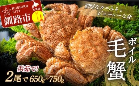 【期間限定！寄附額改定↓！】ボイル毛がに（浜茹で急速冷凍）2尾入 （2尾で650～750g） ふるさと納税 かに 蟹 F4F-0435