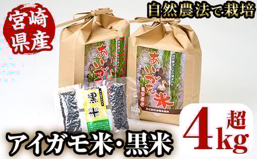 ＜数量限定＞令和7年産アイガモ米(2kg×2袋)と黒米(42g)米 白米 精米 国産 ご飯【MU015】【日之影町村おこし総合産業(株)】