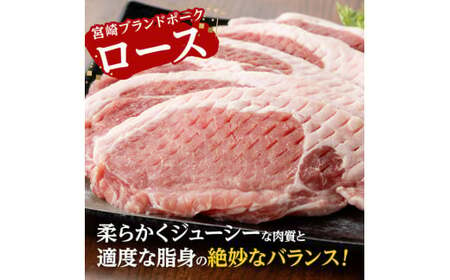 宮崎ブランドポーク ローストンテキ・とんかつ用カット 2kg【 九州産 豚 ぶた 肉 ロース とんかつ トンテキ おうちごはん おうち時間 】