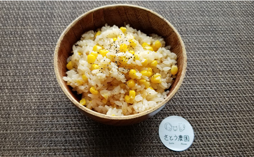 極上の甘さ！ とうもろこし 「おおもの」 10～13本（約5kg）  とうきび トウキビ トウモロコシ コーン 野菜 食品 F20C-933