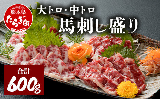 
【馬刺し】大トロ 中トロ 馬刺し盛り 計600g ＜ 大トロ 100g ×3 / 中トロ 100g ×3 / 醤油 生姜 セット ＞ 霜降り 小分け 馬肉 赤身 冷凍 国産 馬刺し 030-0232
