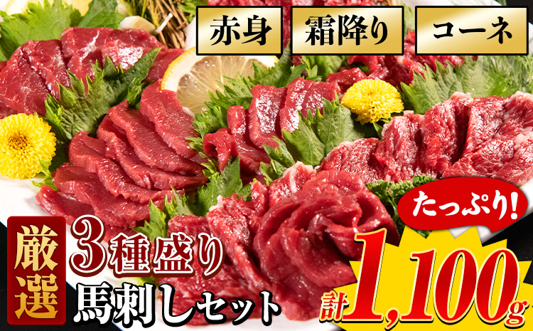 厳選3種盛り馬刺しセット 計1100g《8月中旬-9月末頃出荷》 赤身馬刺し 霜降り馬刺し  タレ付き(5ml×22袋)---fn_fjsgenba_bc8_23_20000_1100g---st-p