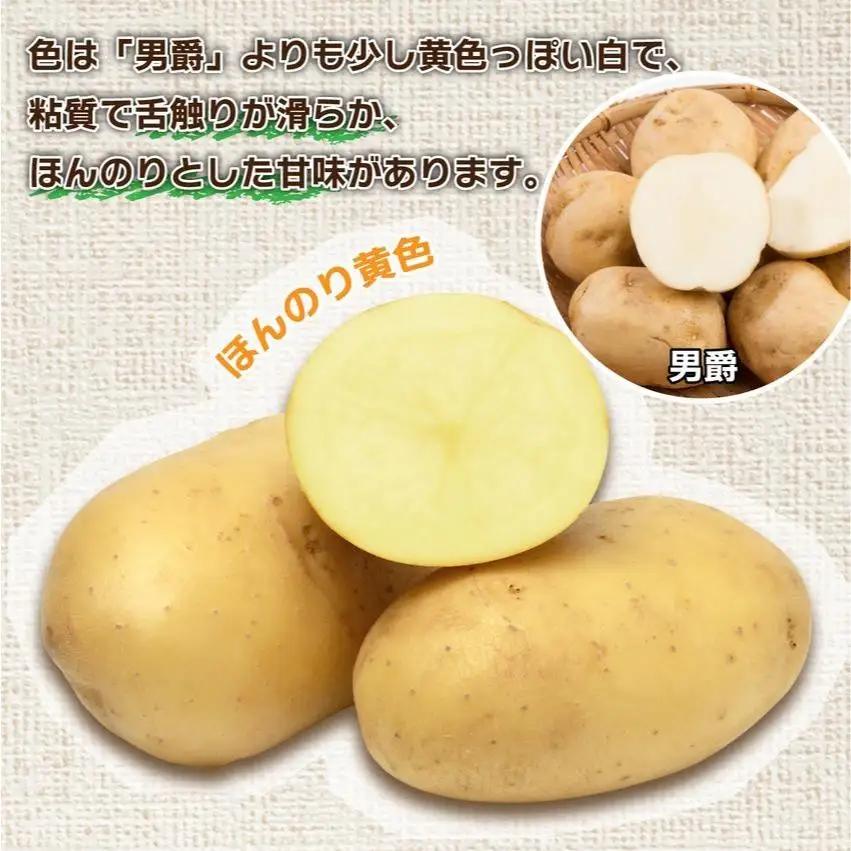 ＜先行予約＞北海道産 じゃがいも(メークイン) 約10kg【hjf-005】
