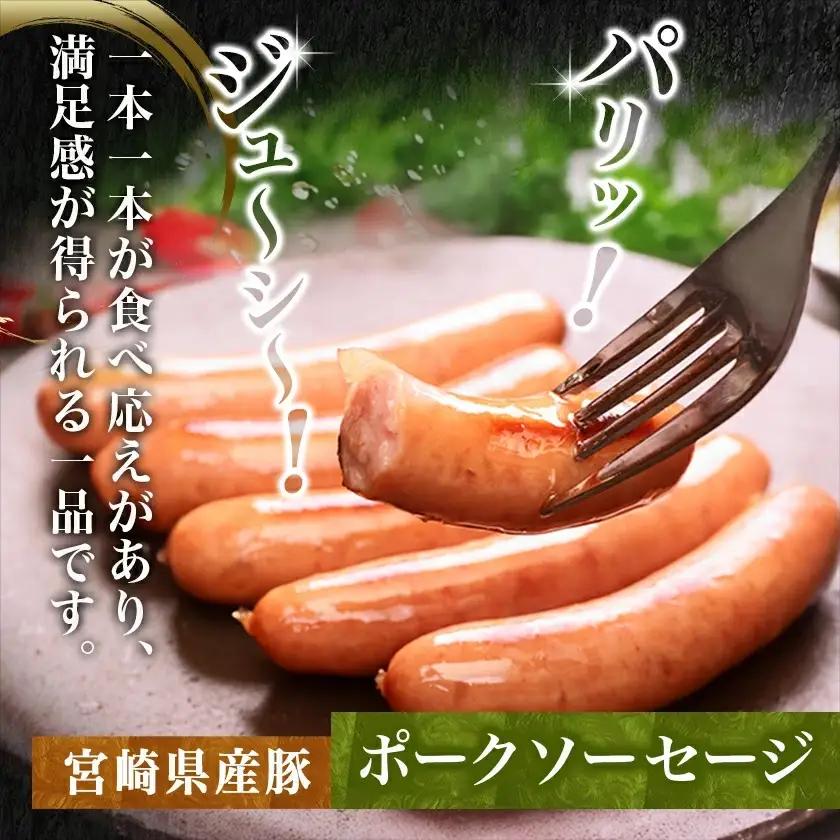 宮崎牛と黒豚+ポークソーセージの詰め合わせセット〔AC-N4-001〕_(都城市) 宮崎県産 都城産 宮崎牛 牛肉 黒毛和牛 ロース 赤身 黒豚 ウデ/モモ 切り落とし ソーセージ
