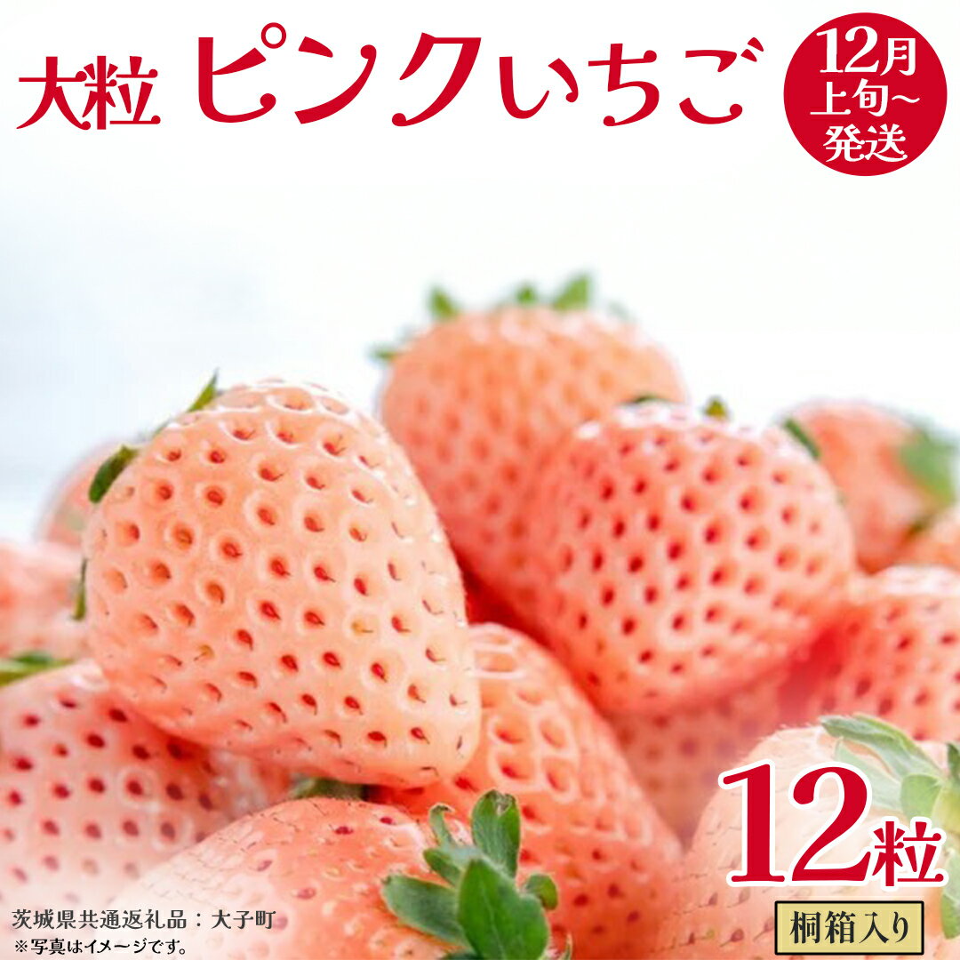 【ふるさと納税】桐箱入り 大粒 ピンクいちご 12粒【2025年12月上旬発送開始】(茨城県共通返礼品：大子町) いちご 苺 果物 フルーツ 果実