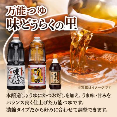 ふるさと納税 大仙市 万能つゆ 味どうらくの里 500ml×10本【東北醤油】 ペットボトル|22_dkb-101001 |  | 03