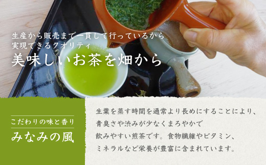 お茶の老舗“厚石園”の特選深蒸しセット【極上・特上 計3パック】緑茶 B3−30【1166623】