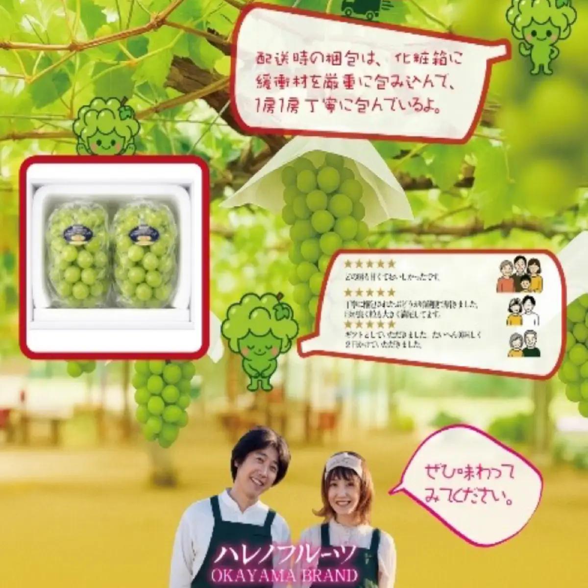 【2回定期便】木熟ぶどう ハレノシャイン シャインマスカット プレミアム 晴王 １房( 800g以上)2回お届け | シャインマスカット 晴王 ハレノシャイン 木熟ぶどう プレミアム 800g以上 1