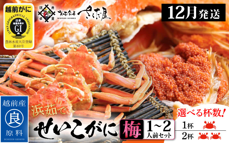 
            浜茹で 越前せいこがに≪梅セット≫1～2人前 かに酢 食べ方しおり スプーン付き【雌 ズワイガニ】【カニ 越前ガニ セコガニ カニみそ】【選べる杯数！1～2杯】【12月発送分】希望日指定可 備考欄に希望日をご記入ください [e04-x012_12]
          