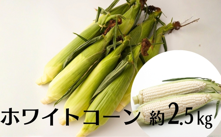 ホワイトコーン 約2.5kg