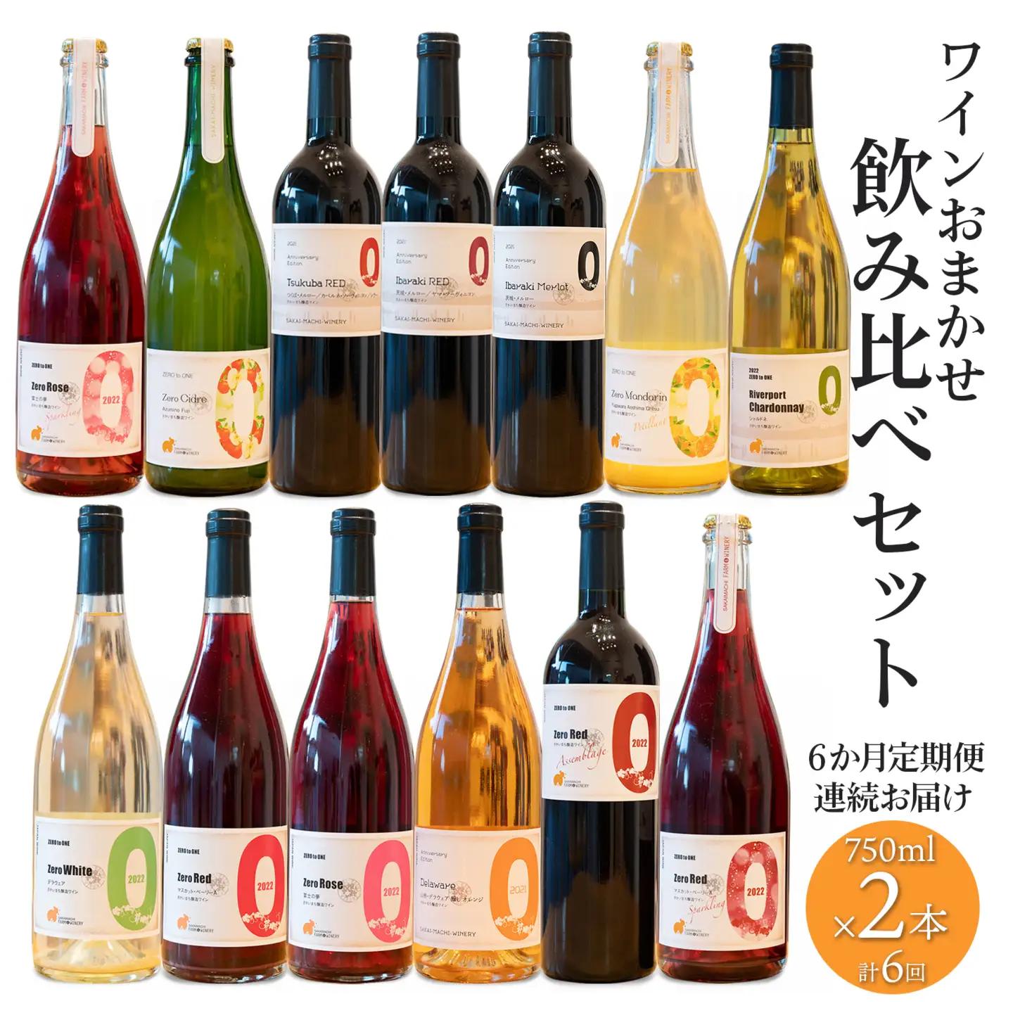 K2432 【6ヶ月定期便/毎月連続お届け】 ワイン おまかせ 飲み比べセット 750ml×2本 さかいまち