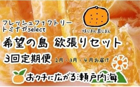 【2026年2月中旬から発送予定】 希望の島 欲張りセット 3回定期便（2月・3月・4月お届け） みかん 柑橘 はるみ 不知火 サマー清見 愛媛県産 みかん 柑橘 定期便【FT0271】