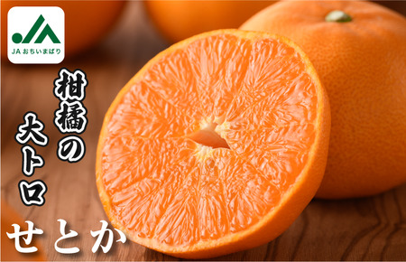 【先行予約】【ご家庭用】今治産　せとか　レギュラー箱　５ｋｇ【KC00770】