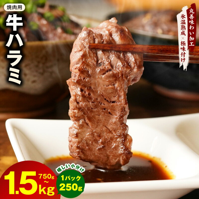 【ふるさと納税】牛肉 ハラミ 750g / 1kg / 1.5kg 【氷温熟成×極味付け】小分け 焼肉 バーベキュー 焼くだけ BBQ 味付け 肉 塩麹 冷凍 丸善味わい加工 氷温熟成牛 牛肉 熟成肉 ふるさと納税オリジナル 限定 大阪府 泉佐野市 送料無料 肉の泉佐野