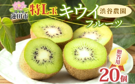 
                  渋谷農園 キウイフルーツ 贈答用 特L玉 20個入り キウイ グリーン グリーンキウイ フルーツ 栄養 ビタミンC 食物繊維 酵素 カリウム 葉酸 ビタミンE 低カロリー 果実 果物 お取り寄せ ご当地 送料無料 埼玉県 蓮田市
                