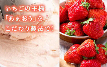 厳選あまおう ジェラート 100ml×6個 VBY002 アイス ジェラート あまおう