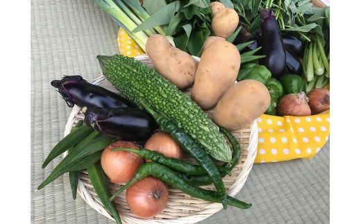 【栽培期間中無農薬＆減農薬】季節の野菜ハーフセット （KBE-113）