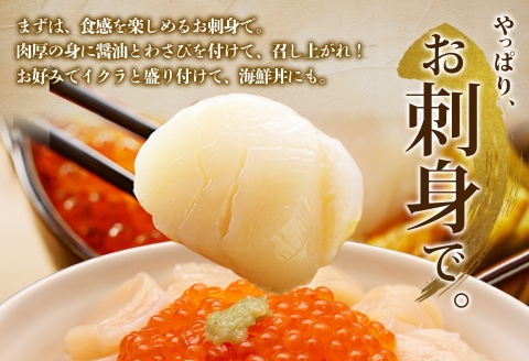 3322. ホタテ貝柱 1kg 100g×10 小分け ほたて 帆立 ホタテ 貝 貝柱 玉冷 貝 刺身 海鮮 冷凍 ご家庭用 送料無料 北海道 弟子屈町