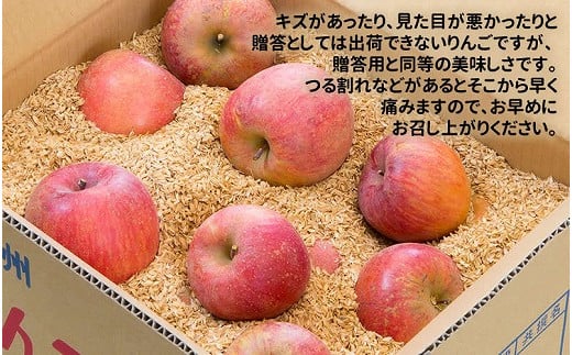 農家直送】富永農園の秋のご家庭用りんご【サンふじ】約１０㎏（自家用）