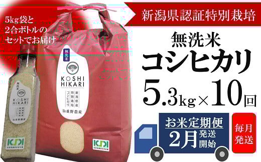 
            【定期便・2月～発送】コシヒカリ 無洗米 5kg（ペットボトル米 300g 1本付き）×10回 （計 53kg）重ちゃんのお米[Y0253]
          