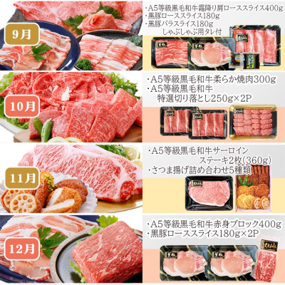 定期便(12回配送)枕崎お楽しみ便(A5等級黒毛和牛・黒豚・黒豚加工品・さつまあげ等) JJ-6003【1166754】 _ 肉 お肉 牛肉 すきやき すき焼き しゃぶしゃぶ 焼肉 霜降り ハンバーグ