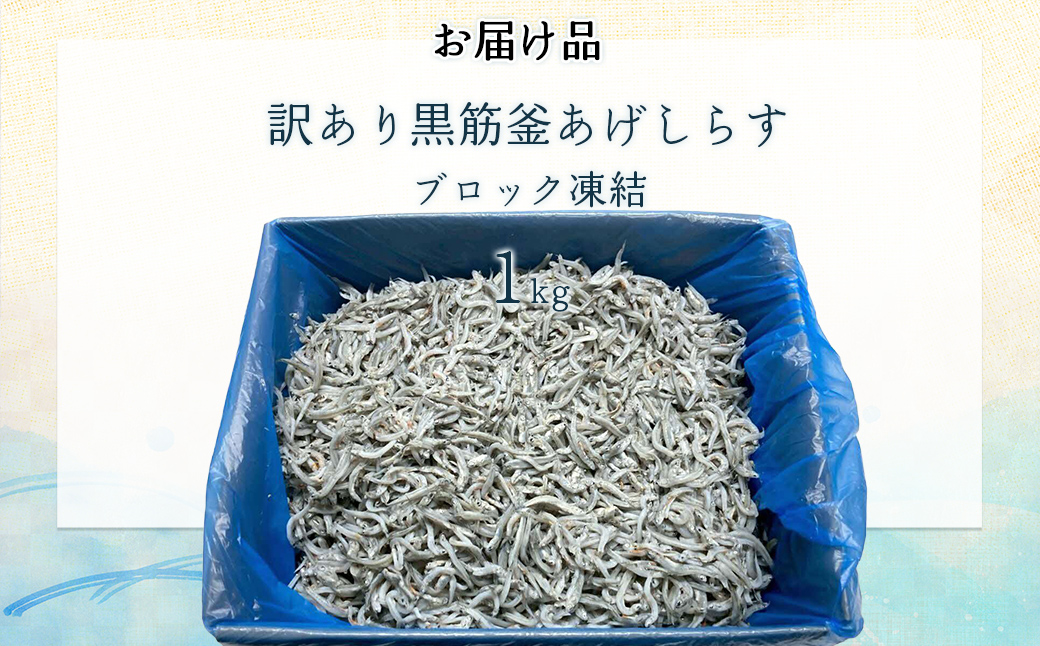 訳ありしらす 1kg IKTB016