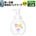 【ふるさと納税】第一石鹸 薬用泡ハンドソープ 本体 250ml×6個