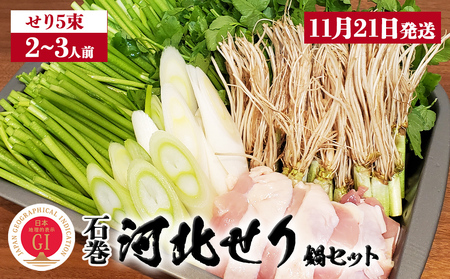 【11月21日発送】せり鍋 セット 2-3人前 せり 長ねぎ パックご飯 スープ 鶏肉 セリ セリ鍋 河北せり 野菜 鍋