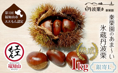 【先行予約11月上旬発送】秦栗園のあま～い氷蔵丹波栗 銀寄L 1㎏【第1回福知山市ええもん認定】【熟成】 FCAC007