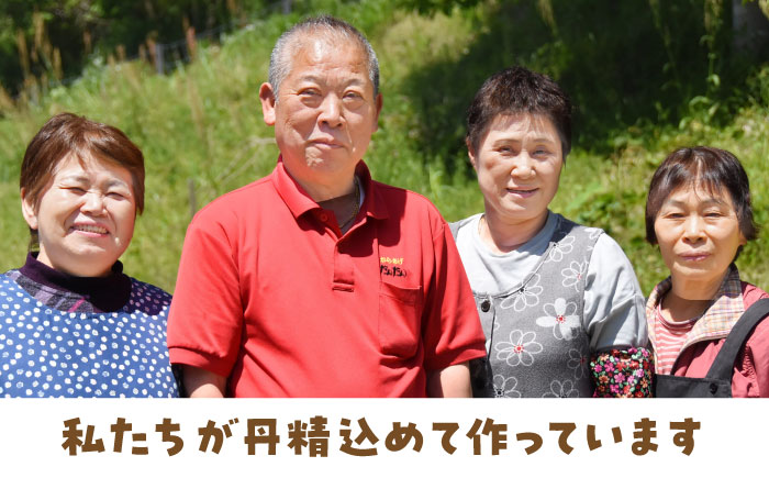 とみぽん ゆずとじゃばら香る ぽん酢＆ごまドレ4本セット/ ポン酢 ゆずぽん酢 じゃばらぽん酢 柚子 柚子胡麻ドレ ゆずごまドレ 胡麻ドレッシング ドレッシング 調味料 ごまドレッシング 詰め合わせ【