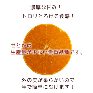 【2027年3月頃から順次発送】 せとか 小玉 5kg 中島みかん農園 ｜ 先行予約 みかん 蜜柑 柑橘 高級 小粒 わけあり 訳あり 甘い みかん 柑橘 愛媛 糖度 せとか 愛媛 松山【NM0102