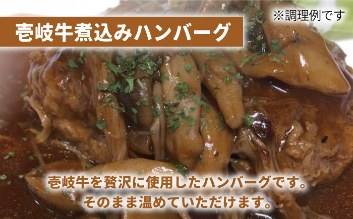 壱岐牛 煮込みハンバーグ キーマカレー セット 200g 5個《壱岐市》【壱岐味噌工房】[JBW005] 35000 35000円