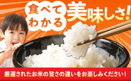 佐賀県産米 さがびより白米3kg 米 お米 ブランド米 白米 国産米[FCW001]