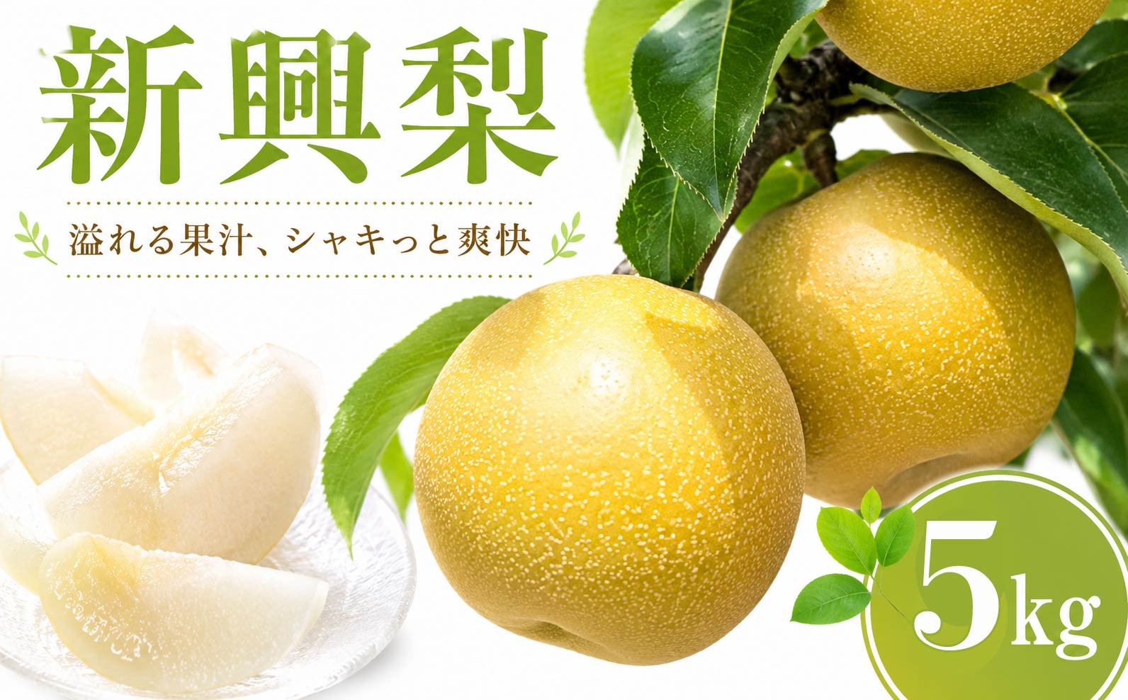 
                  【先行予約】 梨 新興 5kg なし ナシ 梨 果物 くだもの フルーツ デザート 新鮮 果肉 果汁 fruit nasi ふるうつ ふるーつ 梨  5キロ ナシ フルーツ 旬 新興梨 ナシ 甘い みずみずしい 2026年産 特産品 産地直送  農家直送 お取り寄せ たけうち農園 茨城県 筑西市 関東
                