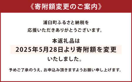 神内マンゴー 優品 510g以上 1玉入り 【2025年7月下旬～2025年9月下旬発送】 果物 フルーツ マンゴー アーウィン 化粧箱 大玉 1玉 北海道 浦臼町