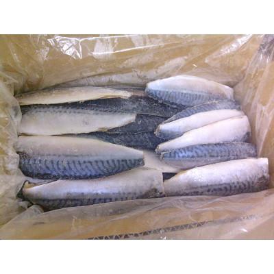 ふるさと納税 神栖市 【訳あり】塩さば　どーんと!3kg |  | 02