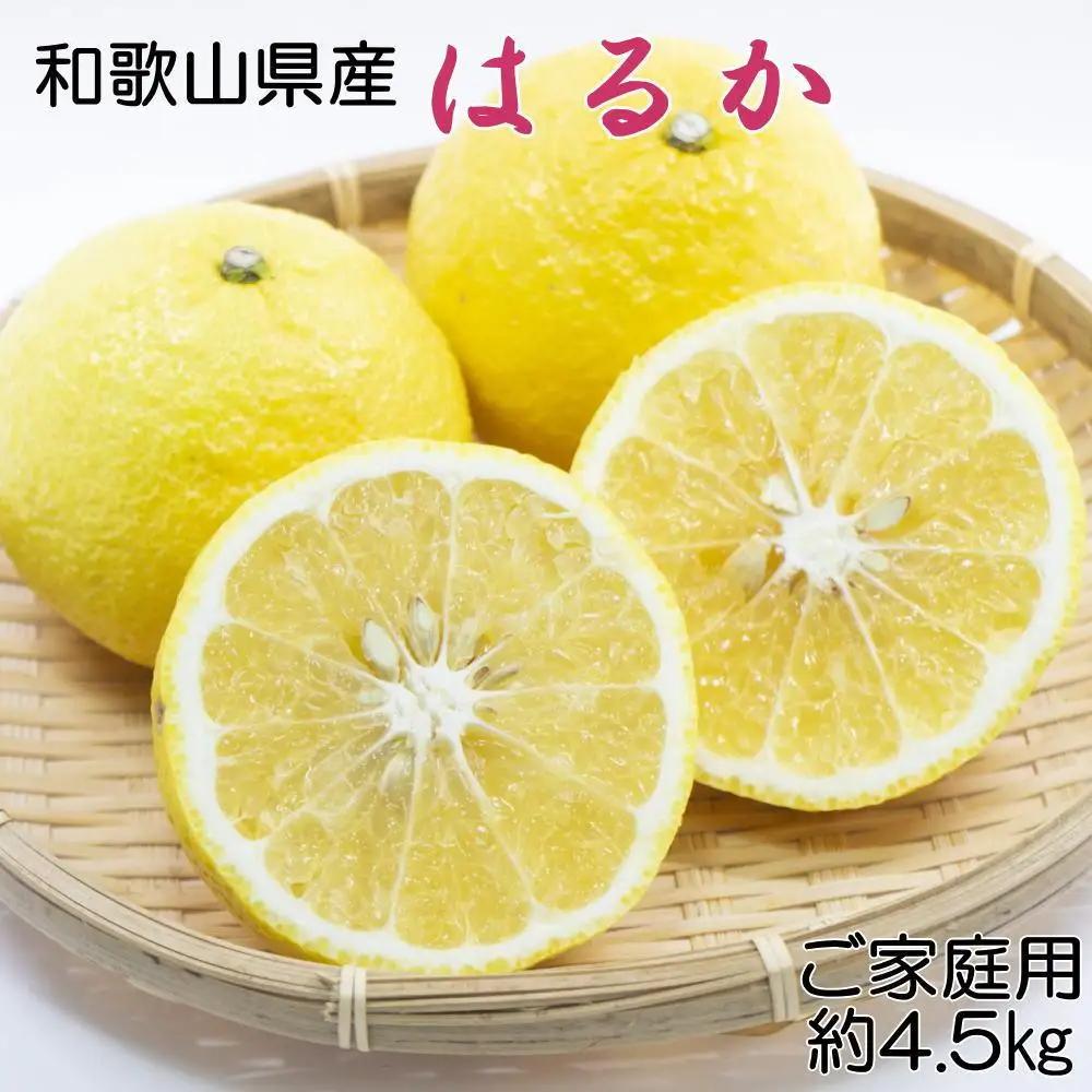 和歌山県産 はるかみかん 約4.5kg（サイズ混合　ご家庭用）みかん［TM161］