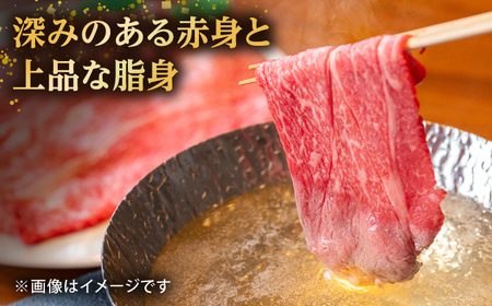 【全12回定期便】【希少で上品なお肉をご家庭で！】五島牛 薄切りセット ロース モモ 700g 4〜5人前【ごとう農業協同組合】[RAT011]